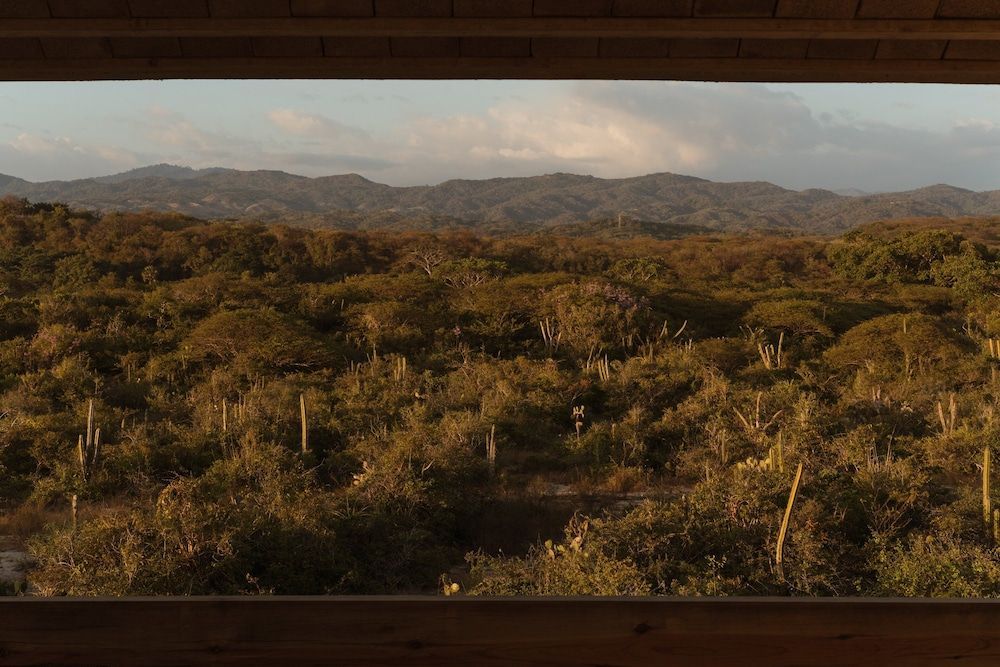 Terrestre, a Member of Design Hotels 1