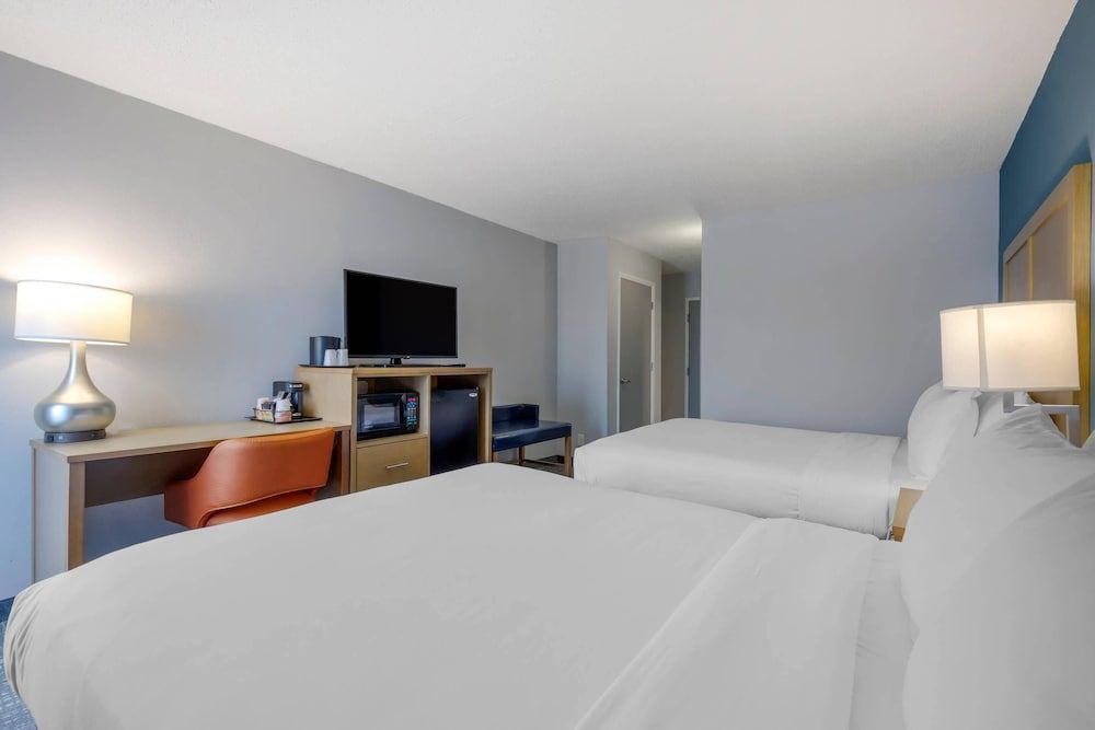 Comfort Inn & Suites Alexandria West 1