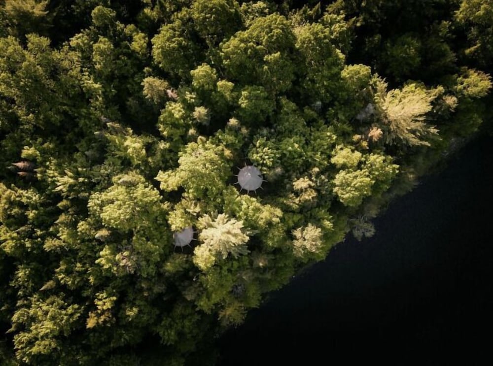 Hôtel UNIQ - Forêt Ô Cascades - Tentes Glamping 1