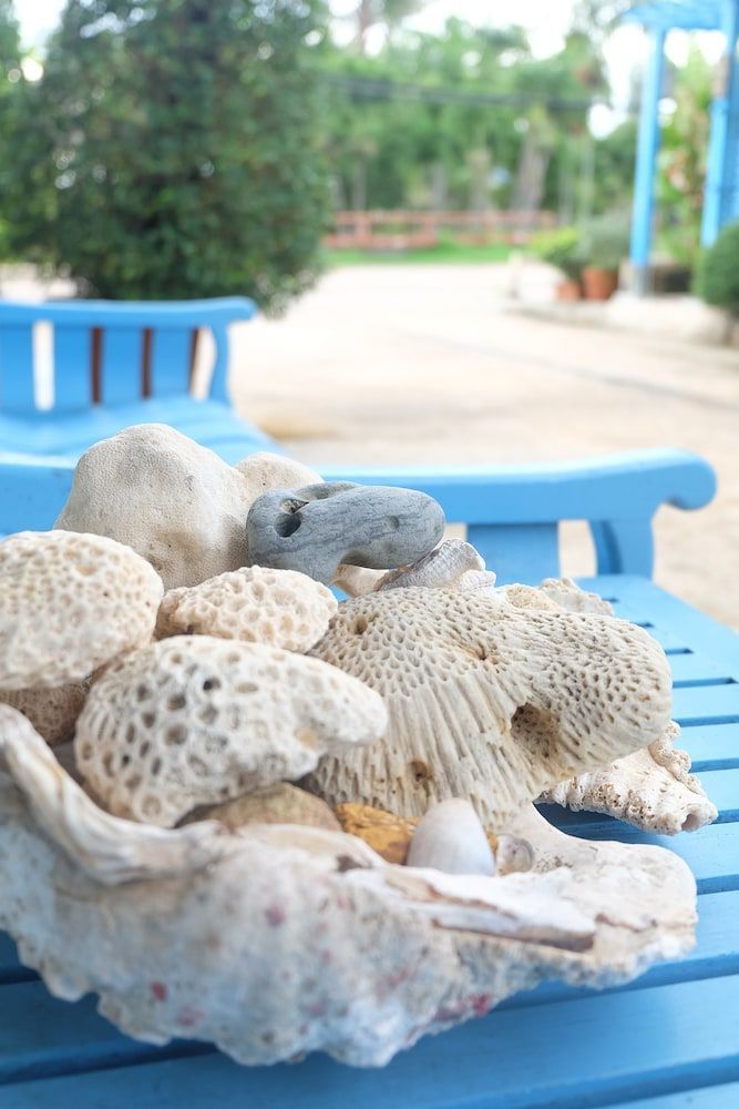 Lanta Mermaid Boutique House-Cozy Stay,Seaview, Delicious Breakfast,2 Minutes Walk to the Beach 2