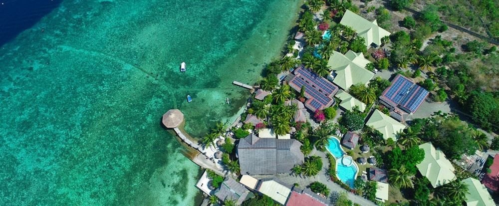Dolphin House Resort Moalboal 1