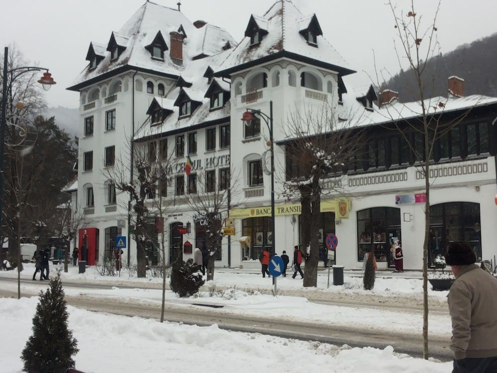 Hotel Rina Cerbul 1