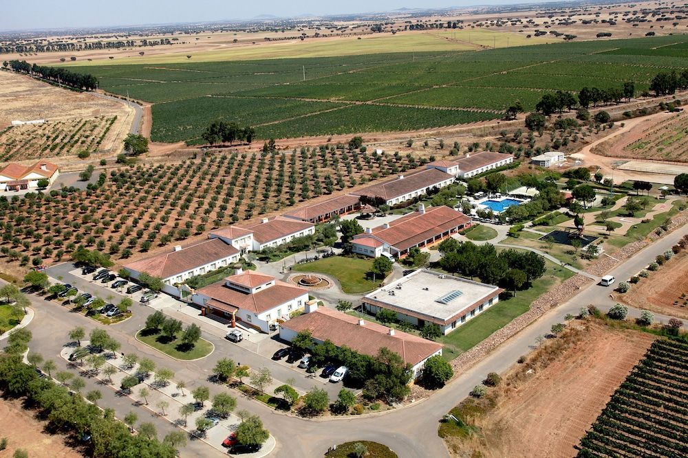 Vila Gale Alentejo Vineyard - Clube de Campo 1