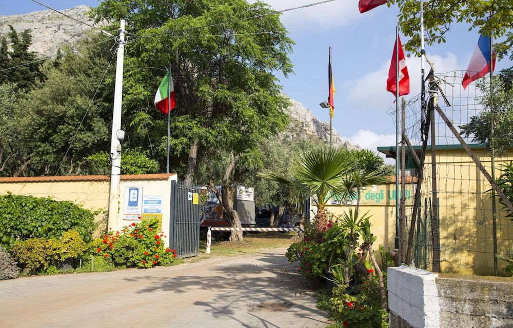 Camping Degli Ulivi 1