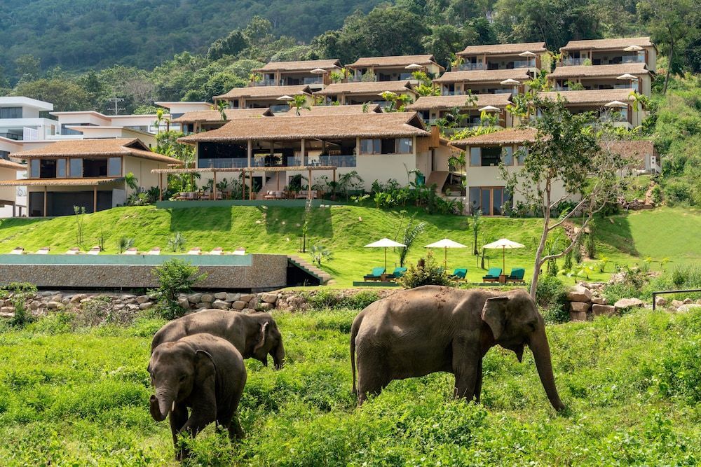 Wild Cottages Elephant Sanctuary Resort 1