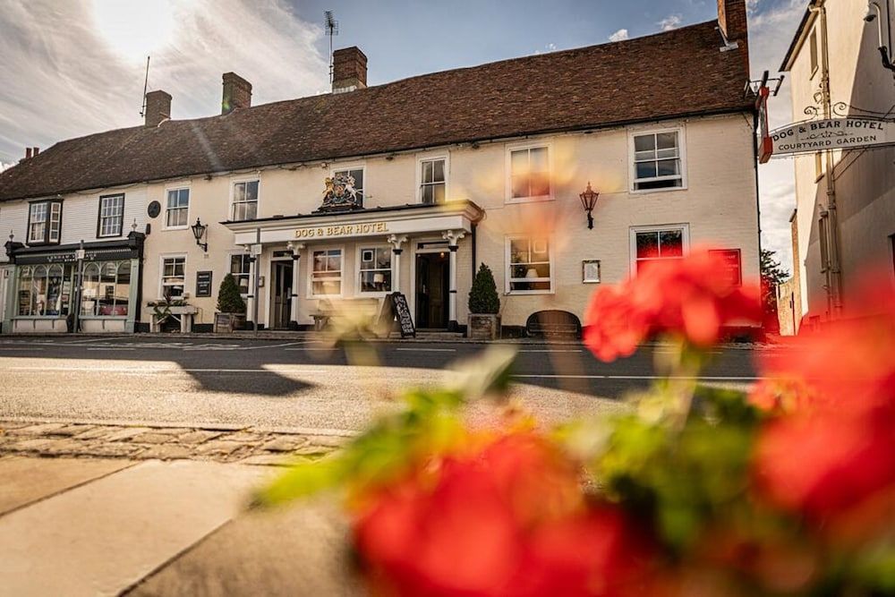 The Dog & Bear Hotel 1