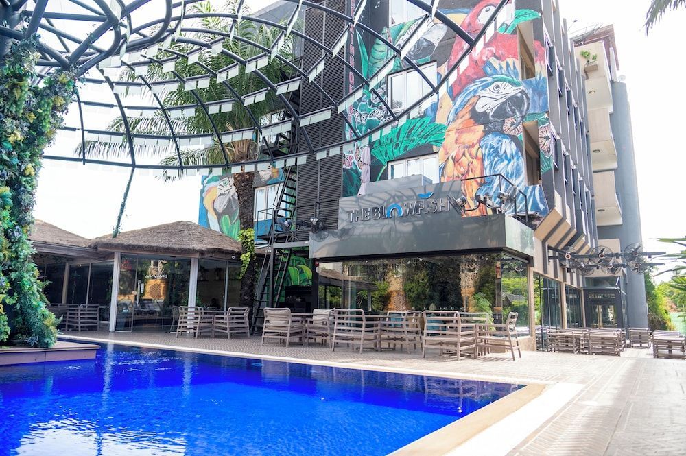 The Blowfish Hotel 1