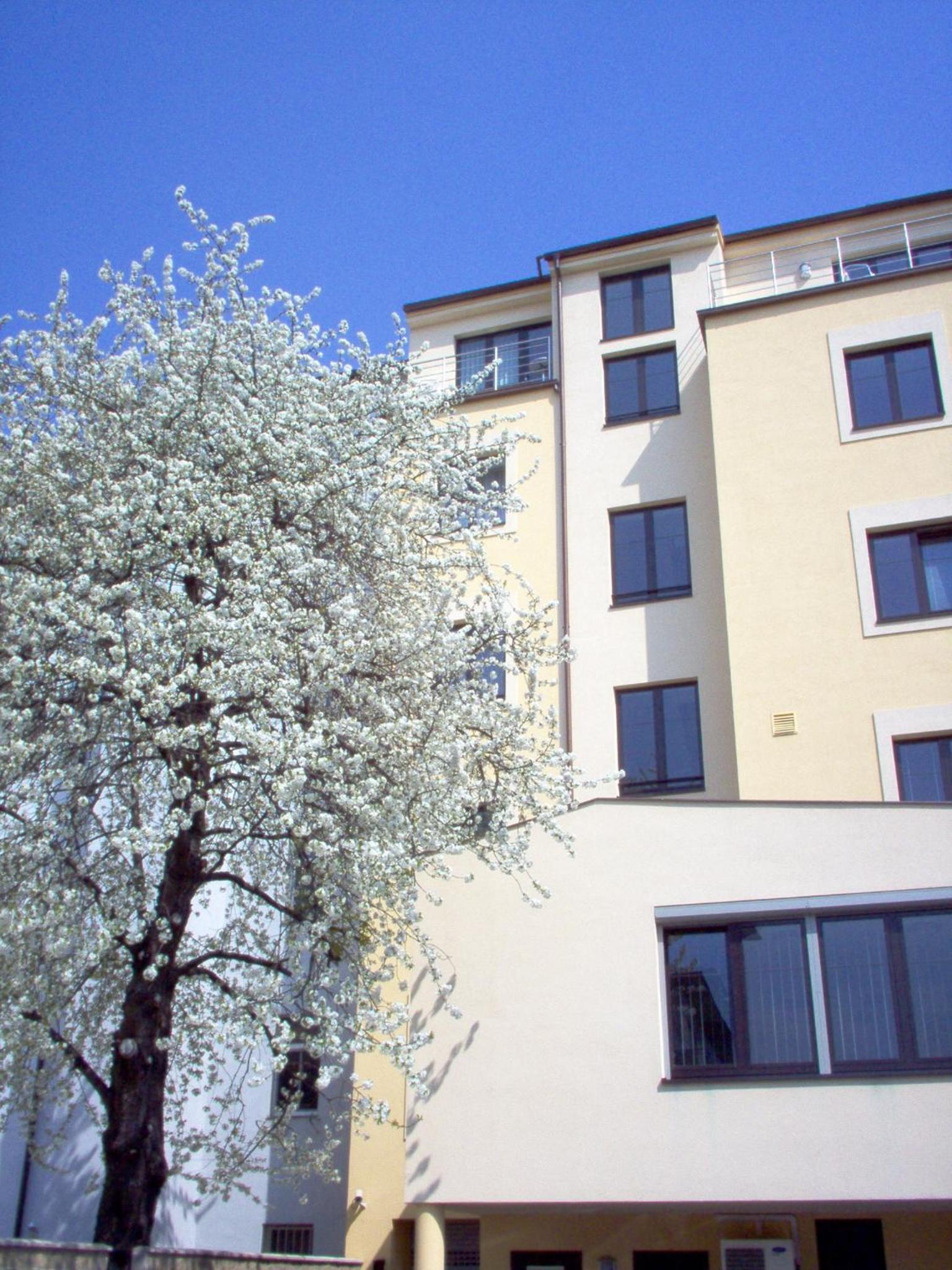 Hotel Coronet 2