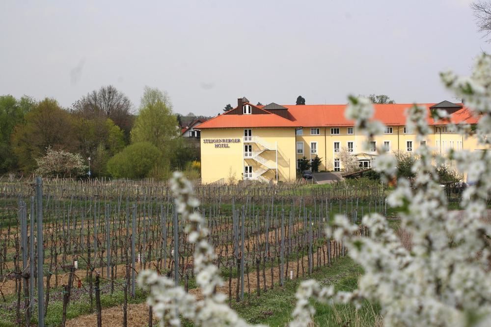 STEIGENBERGER DEIDESHEIM 1