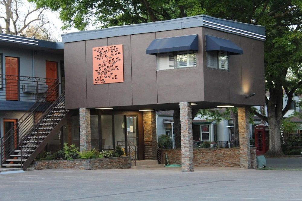 The Vine Inn Davis 1