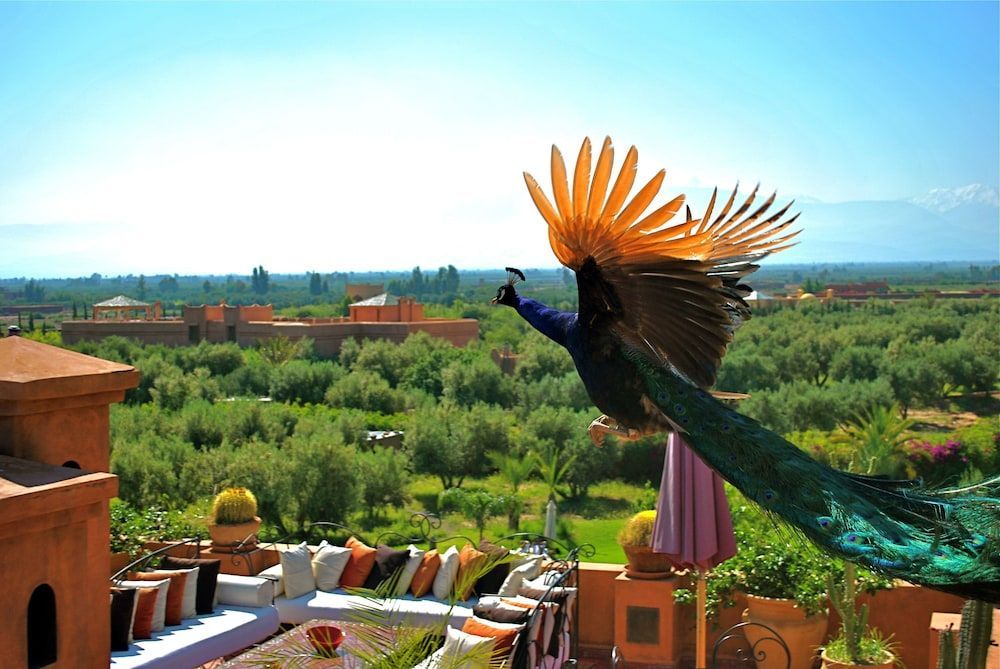 Riad Al Mendili Private Resort & Spa 1