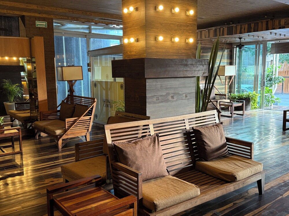 Hotel Kavia 5th Avenida 2