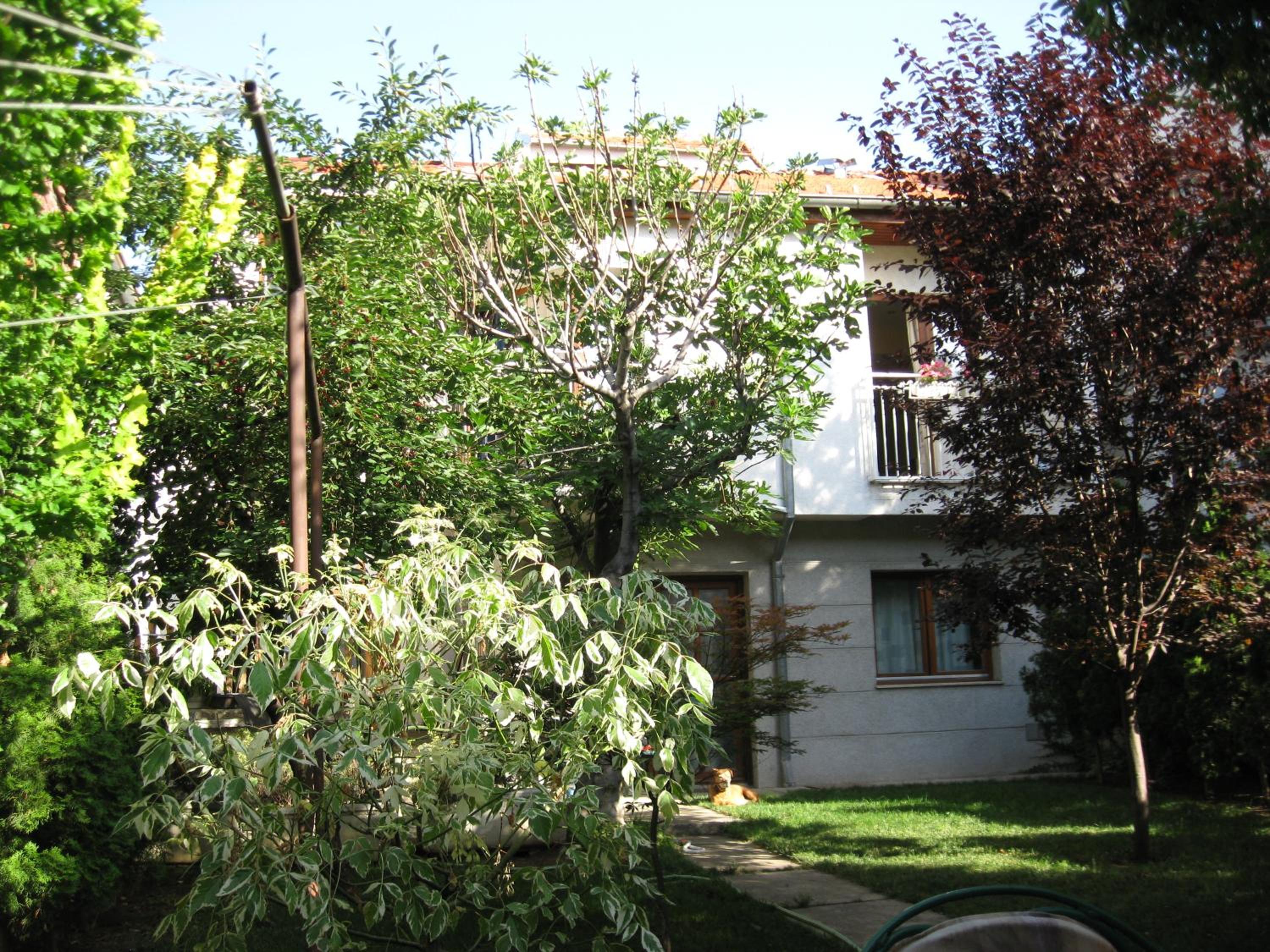 Hostel Oasis 1