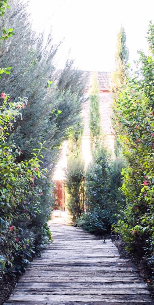 Lavandeira Douro Nature & Wellness 2