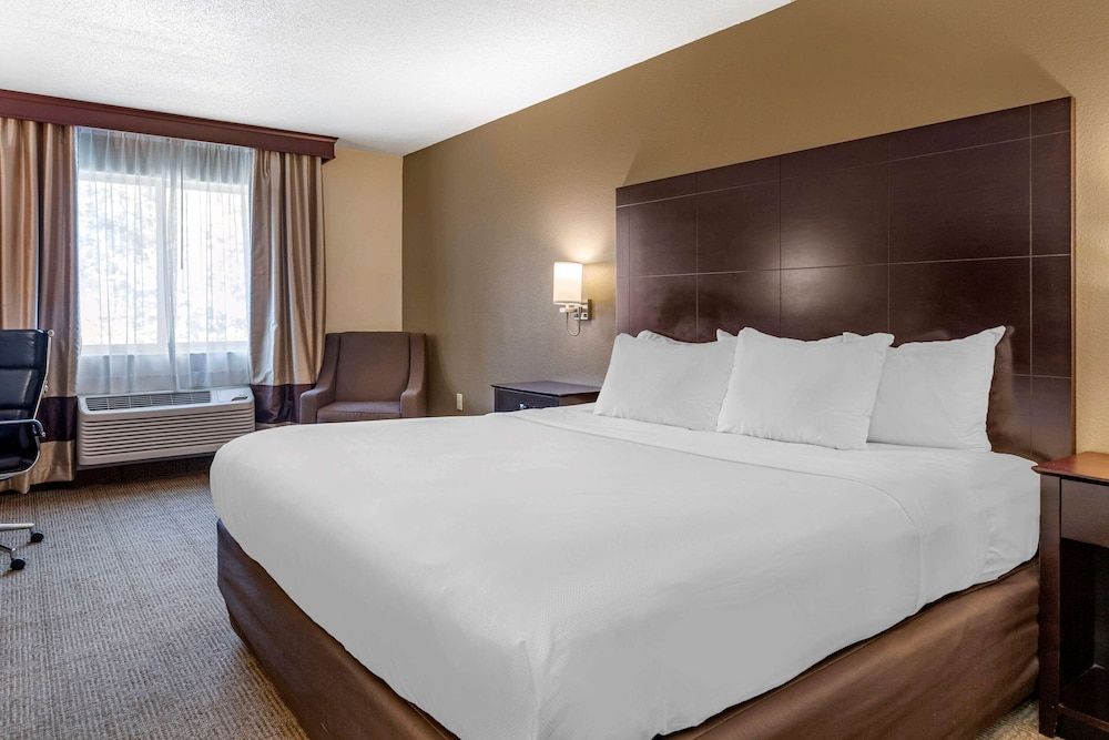 Comfort Inn & Suites Paw Paw 1