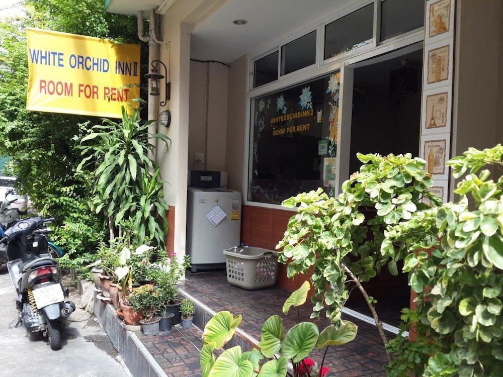 White Orchid Inn II 1