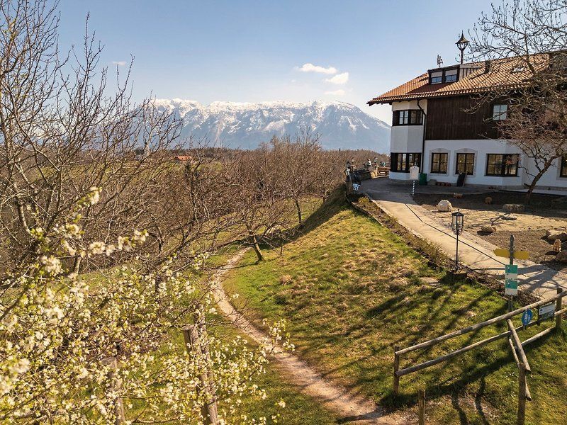 Neubichler Alm 1