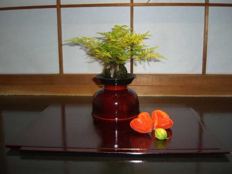 Kaminarimon Ryokan 2