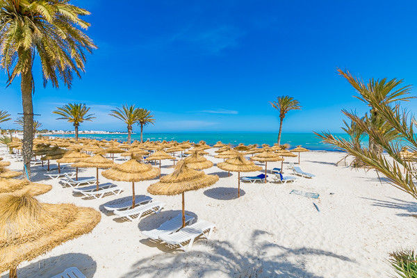 LAICO DJERBA 1