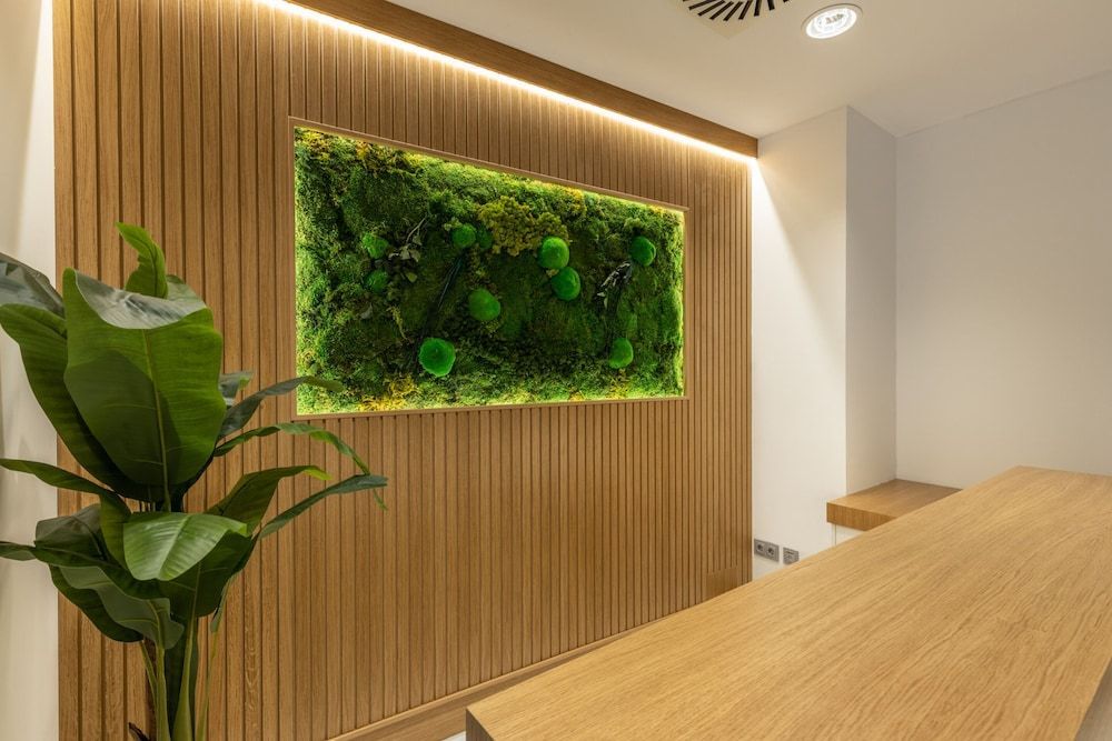BiBo Suites San Agustín 2