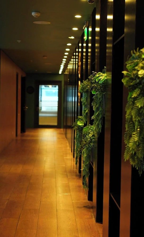 Novotel Puerto Montt 2