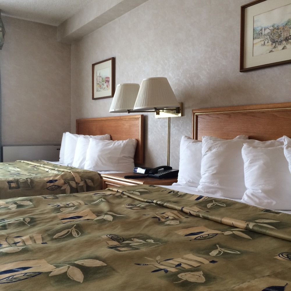 Four Points by Sheraton Toronto Airport East 2