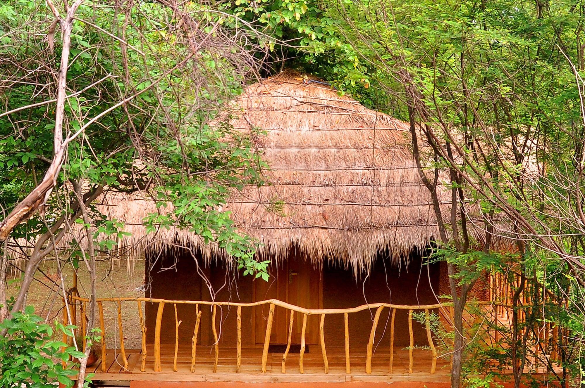 La Pentera 1