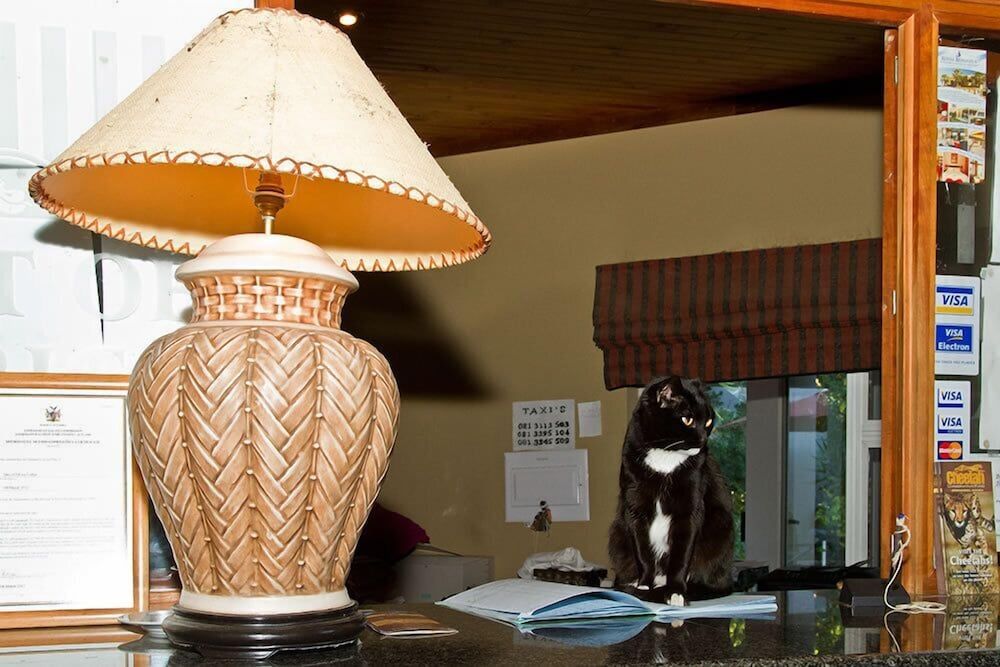 Out of Africa Town Lodge 2