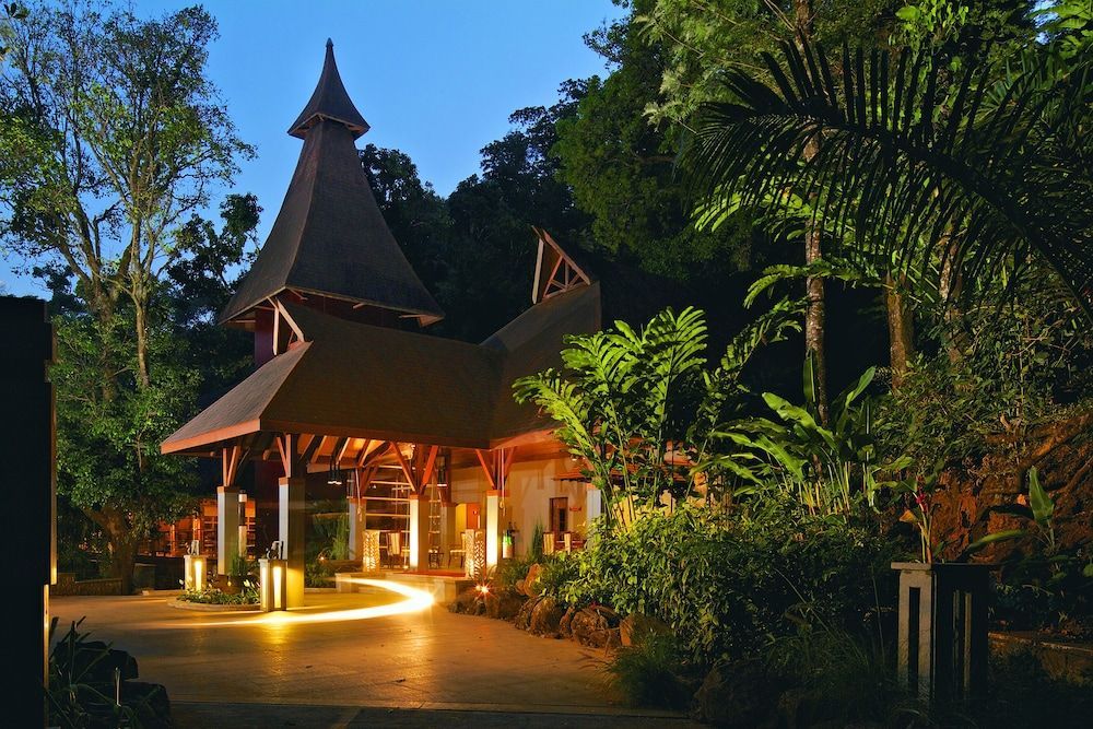 The Tamara Coorg 1
