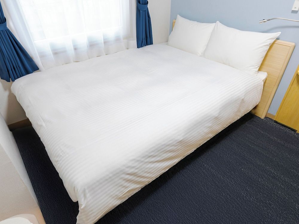 Toyoko Inn Kagoshima chuo eki Higashi guchi 2