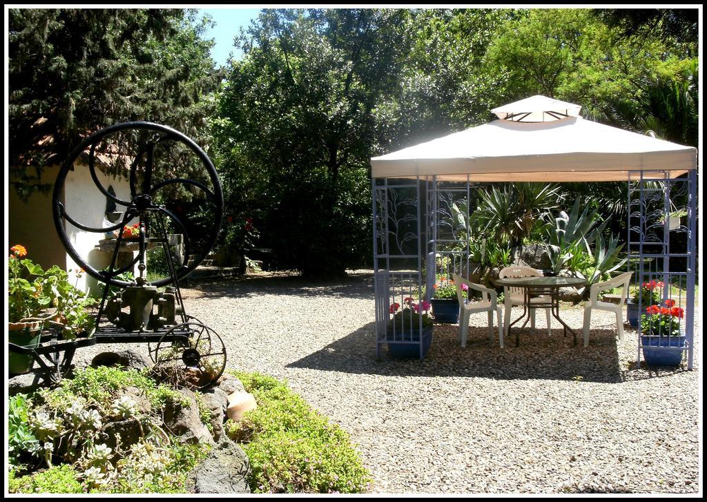 Les jardins du Patriarche Hôtel 1