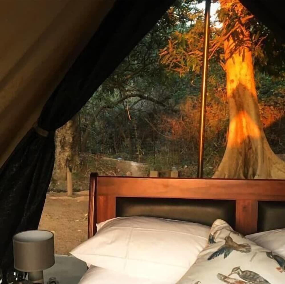 Senate Boutique Camp - Campsite 1