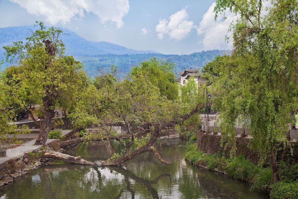 Banyan Tree Tengchong 1