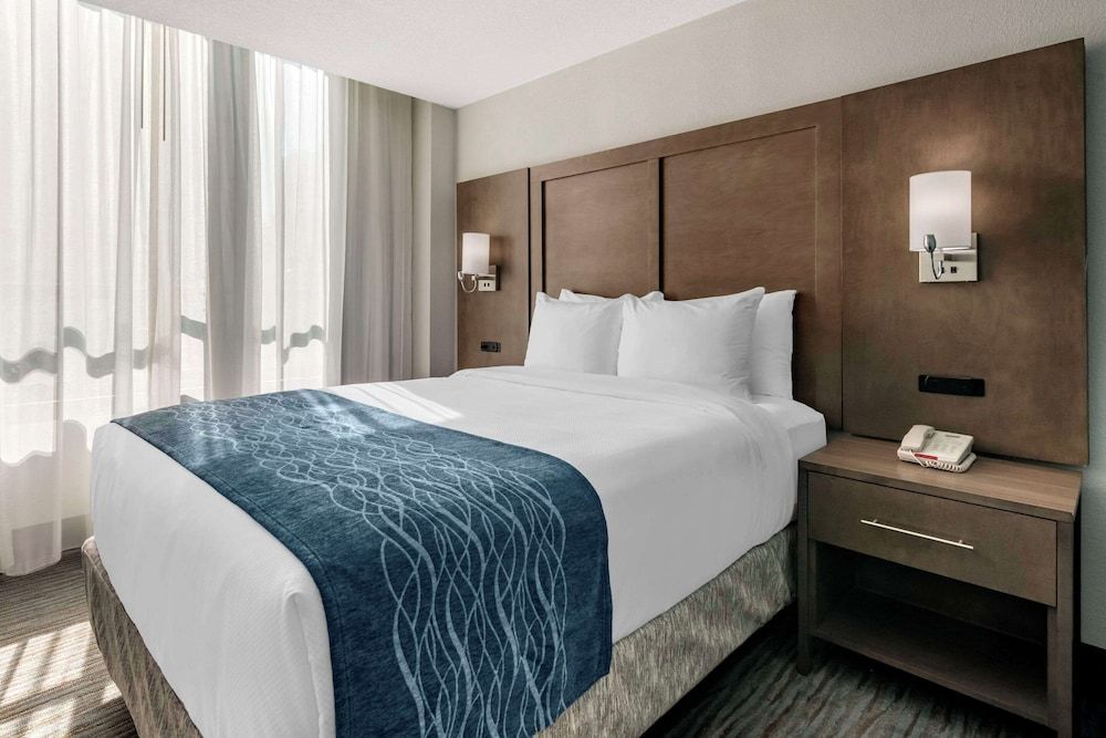 Comfort Inn & Suites Downtown Brickell - Port of Miami 1