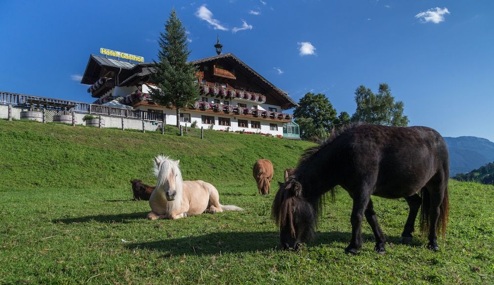 Seiterhof 1