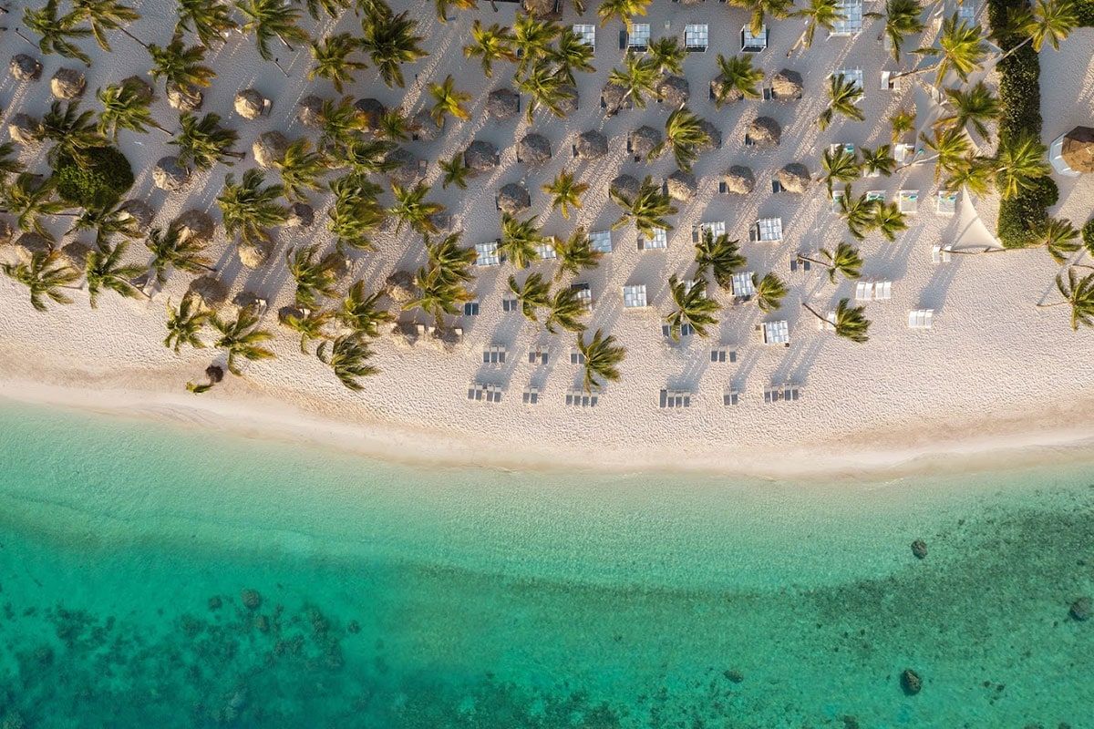 Catalonia Bavaro Beach Resort 1
