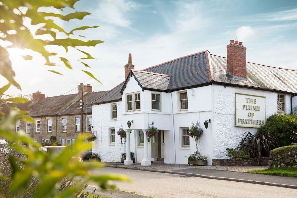 The Plume of Feathers 1