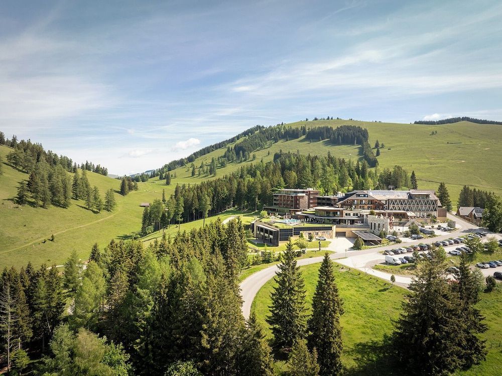 Almwellness Hotel Pierer 1