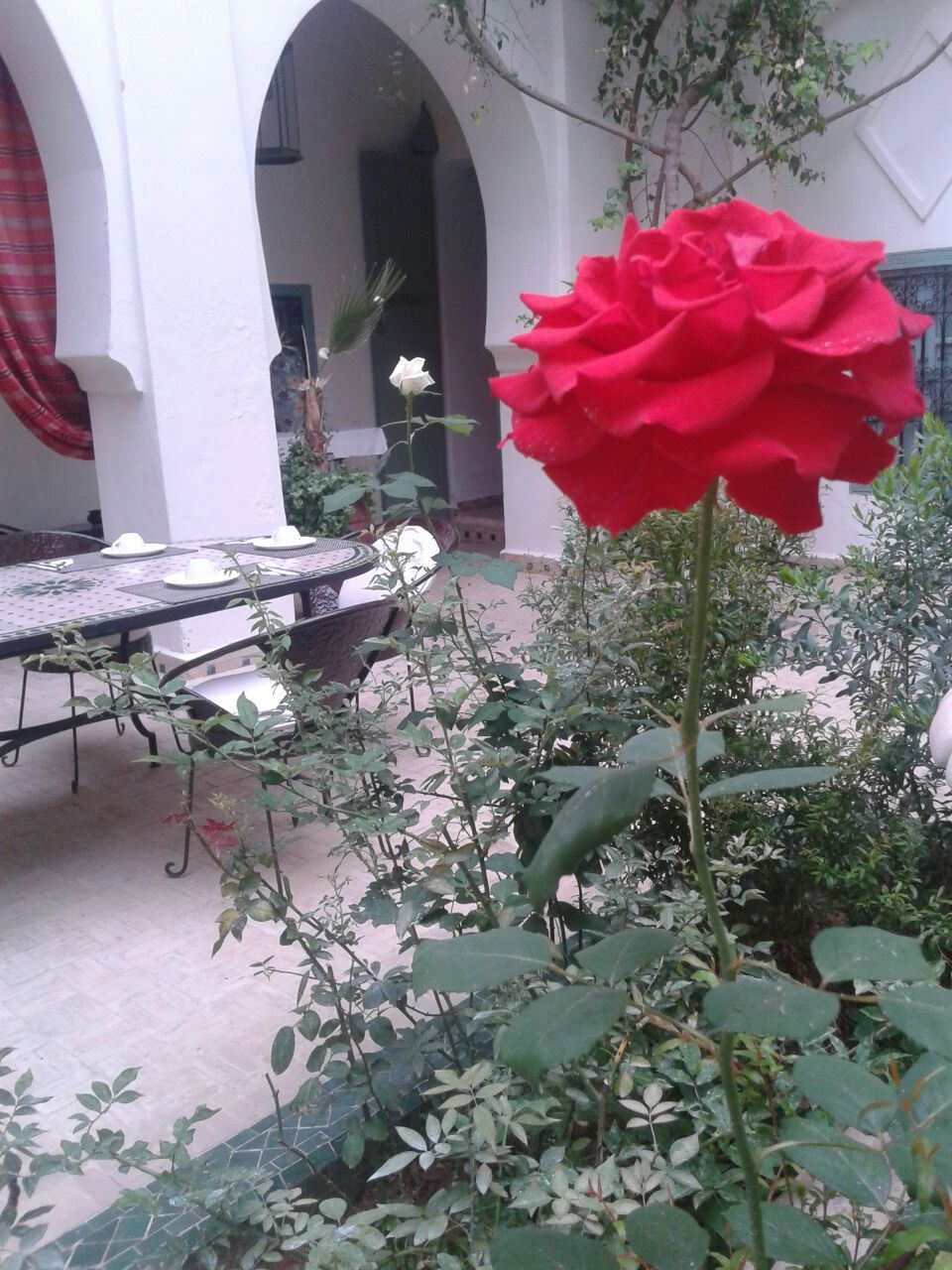 Riad Dar Bounouar 2
