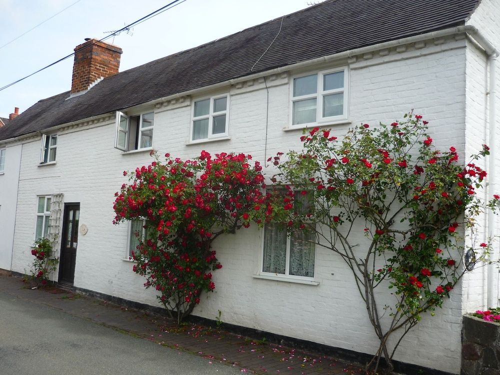 White Cottage Bed and Breakfast 1