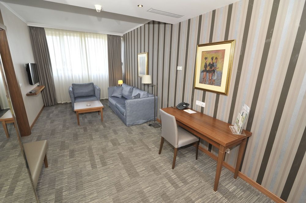 Holiday Inn SKOPJE by IHG 2