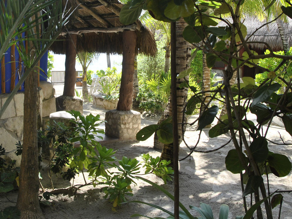 HOTEL CALALUNA TULUM - ADULTS ONLY 2