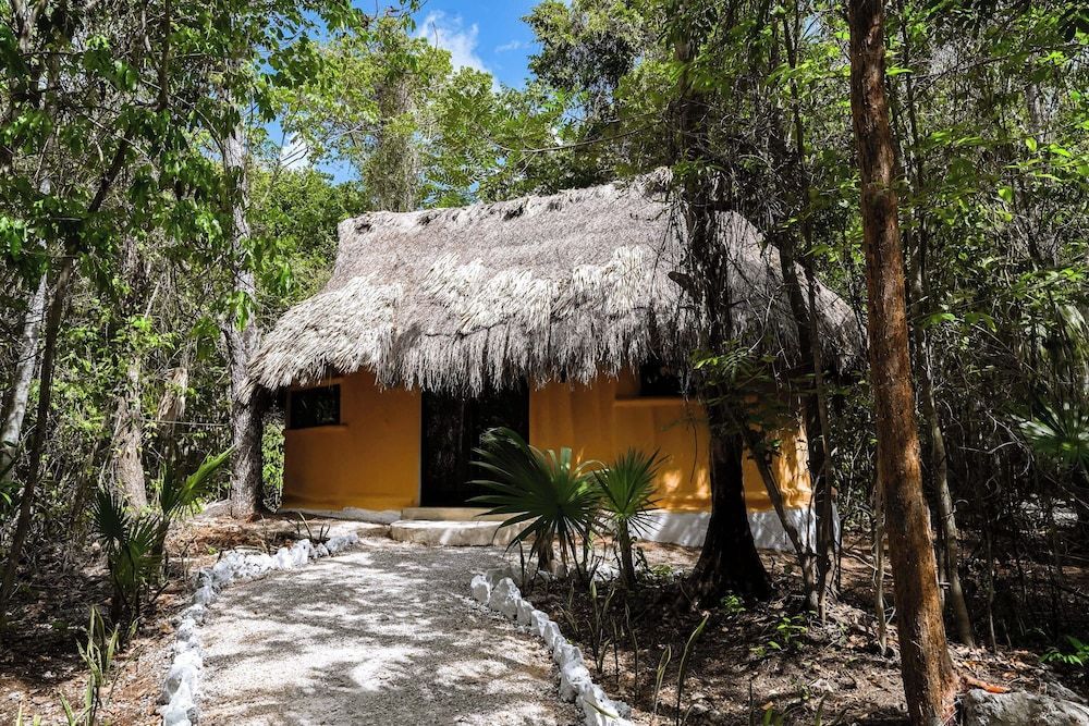 Jolie Jungle Eco Hotel 1