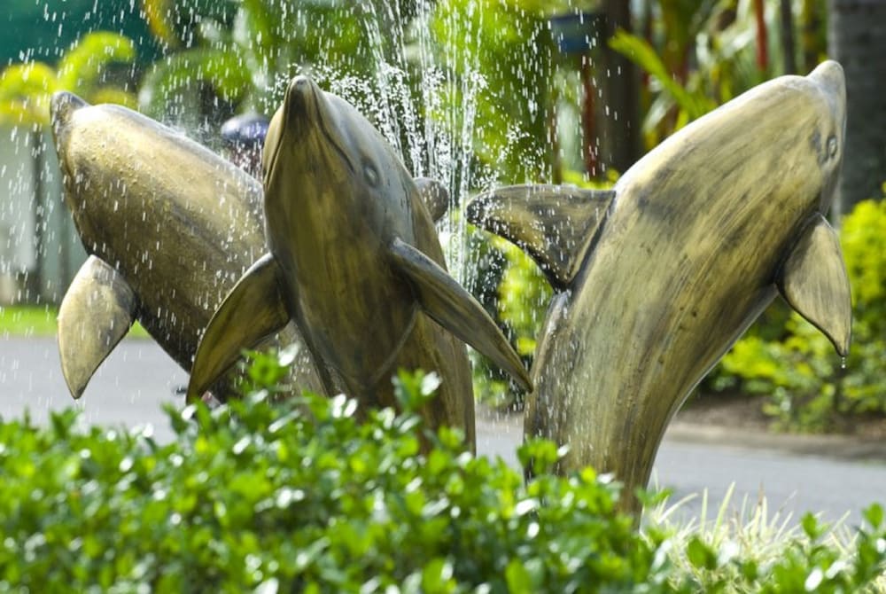 Ingenia Holidays Cairns Coconut 2