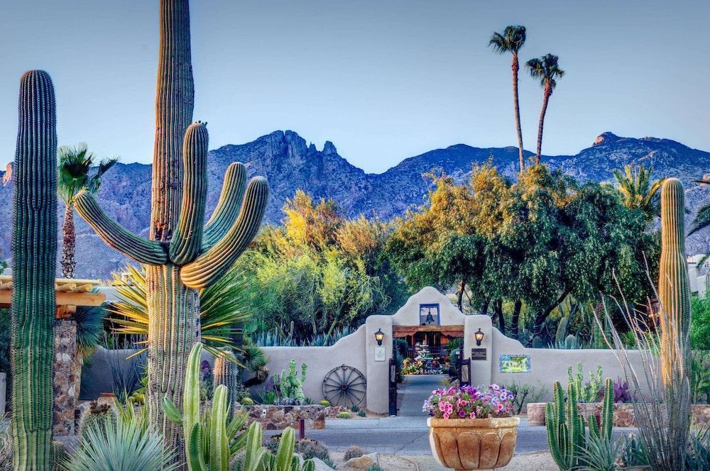Hacienda del Sol Guest Ranch Resort 1