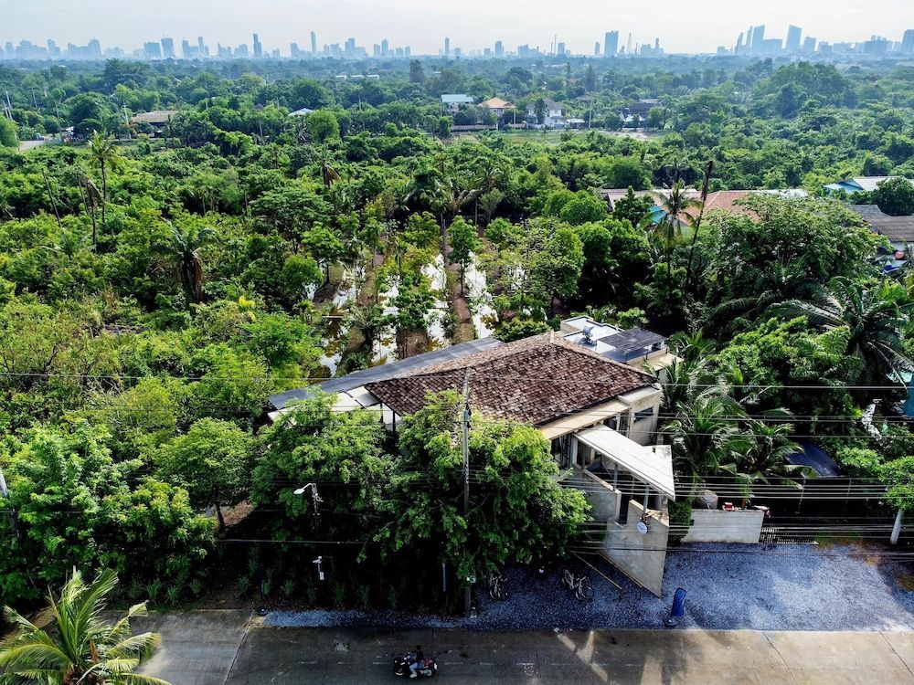 Coconut Lane Bangkok 1