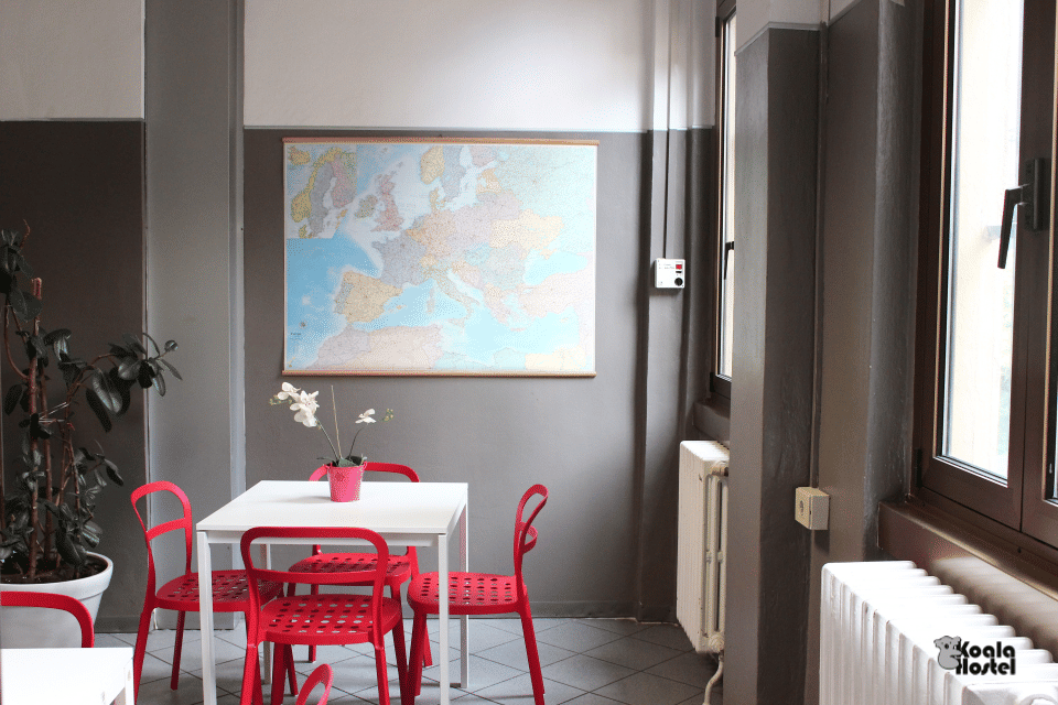 Koala Hostel 1