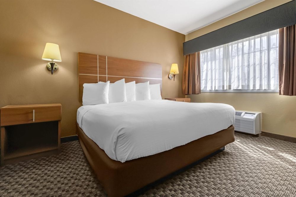 Best Western Plus Shamrock Inn & Suites 1