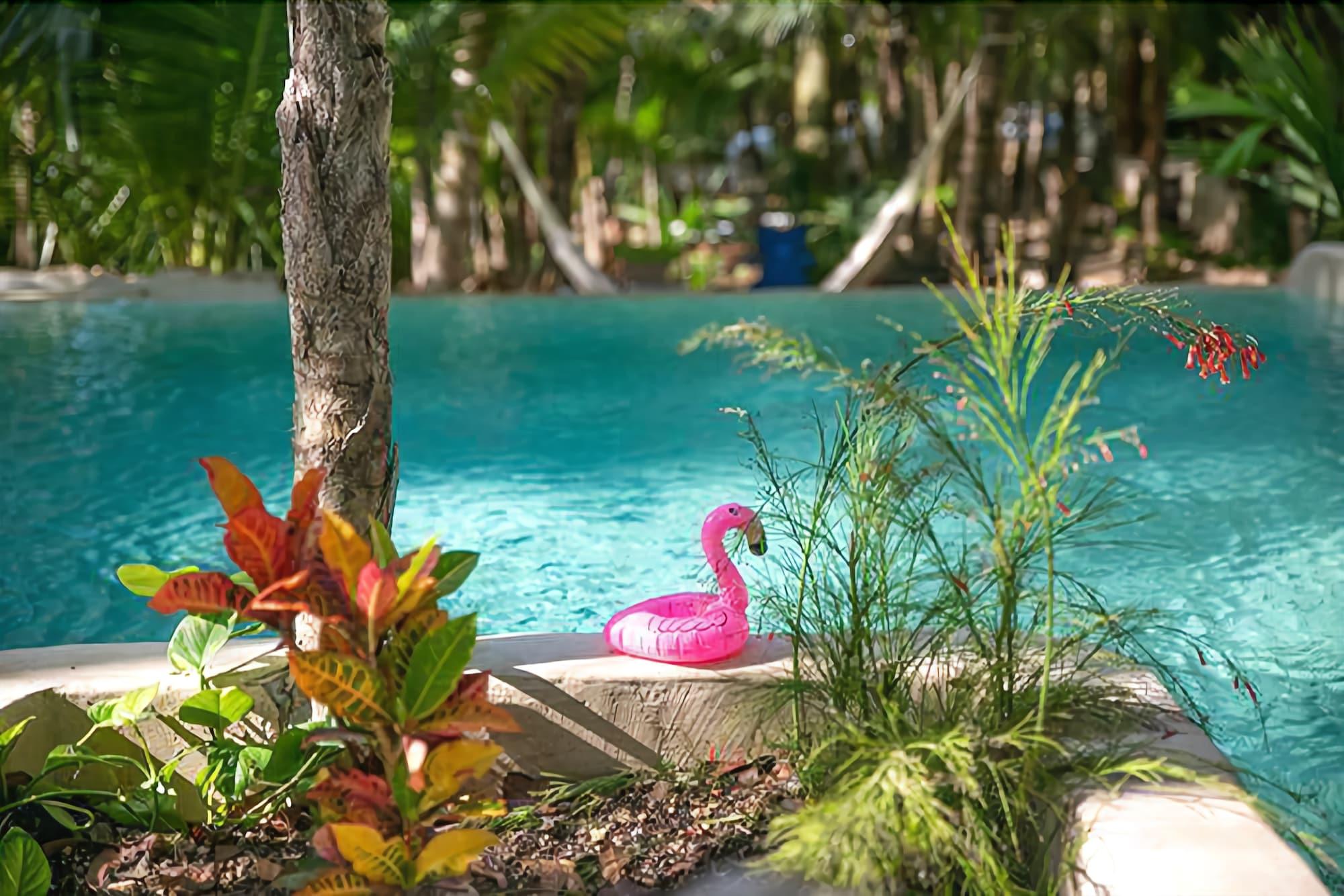 Hotel Buenavista Bacalar Jungle Experience 2