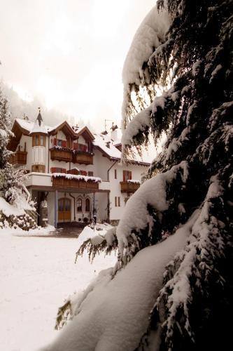 Hotel Waldheim Belvedere 2